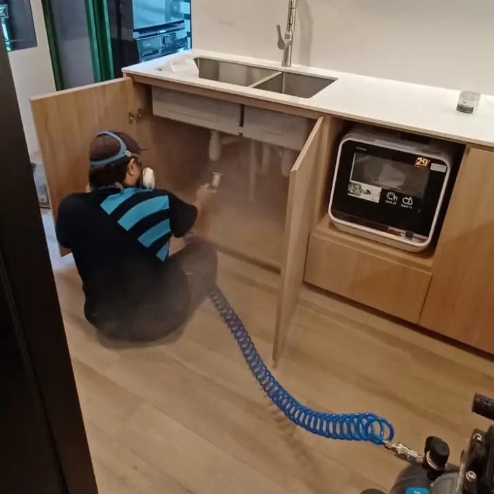 formaldehyde removal service