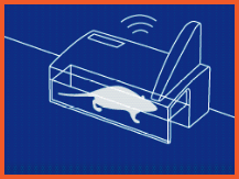smart eye step2